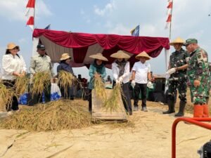 Dandim Letkol Rizal Dwi Jayanto Sukseskan Panen Raya Padi di Kabupaten Bogor
